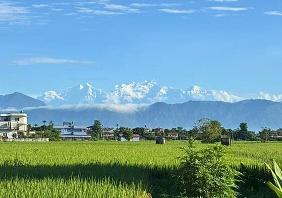 Royal Tulip Conference